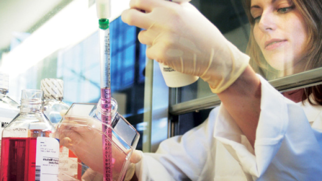 Scoperta nuova cura contro la leucemia