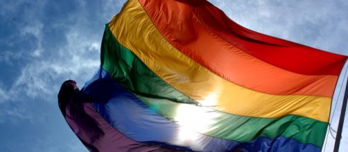 Rainbow Flag. [Image Source: Ludovic Bertron - Wikipedia]