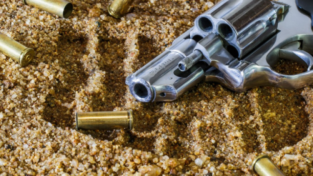 Famiglia di origini albanese uccisa a colpi di pistola