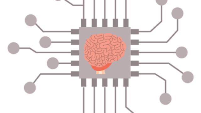 La scoperta di un nuovo tipo di neurone