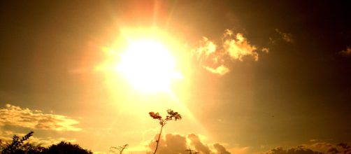 Habr&aacute; m&aacute;s incendios forestales, sequ&iacute;as y calor en el siglo XXI ... - naturahoy.com