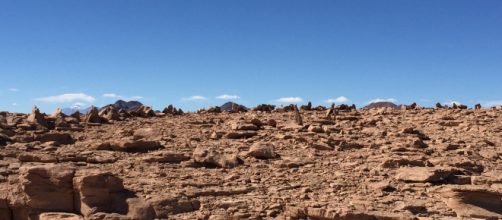 Un estudio asegura que el cambio clim&aacute;tico modificar&aacute; la diversidad biol&oacute;gica