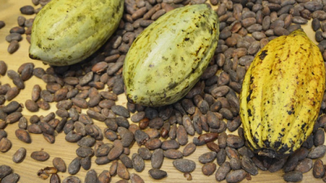 &eacute;conomie Archives - Tribune Ouest - tribuneouest.com