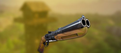 New shotgun coming to the game. [Image via Asmir Pekmic]