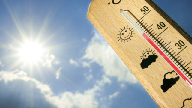 Rimedi naturali e piccole accortezze per far fronte al caldo torrido