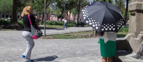 Google Noticias - Ola de calor - Lo &uacute;ltimo - google.com