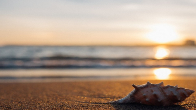 Buon Ferragosto 2018, dillo con un sorriso.