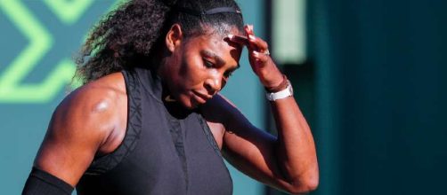 Serena dice adi&oacute;s en su retorno a Miami en un buen d&iacute;a para Jarry ... - becrowd.com
