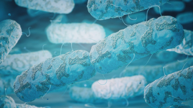 Legionella Risk Assessment - advanced-water.co.uk