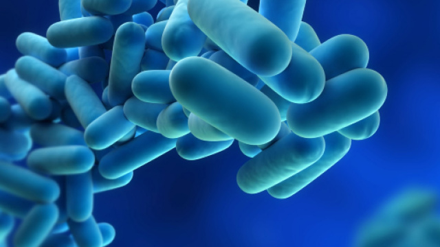 Polmonite da legionella, un caso sospetto anche a Torino