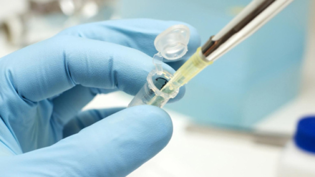 Vidatox, l'illusione della cura del cancro dal veleno di uno ... - fanpage.it