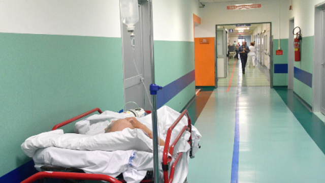 Medico puliva seppie in ospedale | Virgilio Notizie - virgilio.it