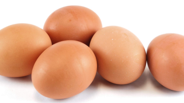 Uova fresche ritirate per contagio da salmonella