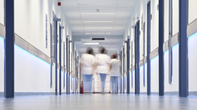 Un medico puliva i molluschi nel lavandino del bagno dell'ospedale.