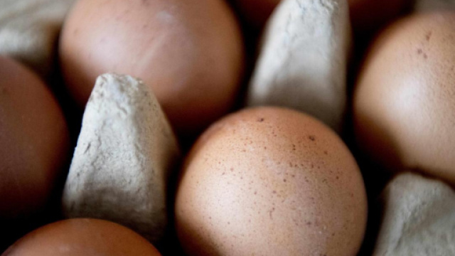 Uova fresche ritirate per salmonella