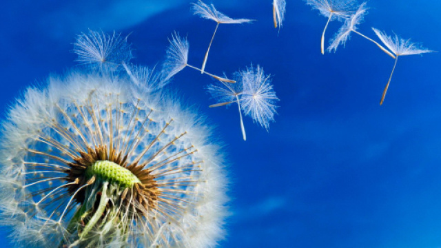 Oroscopo di domani 20 settembre 2018: Astrologia e previsioni su amore e lavoro per i primi segni