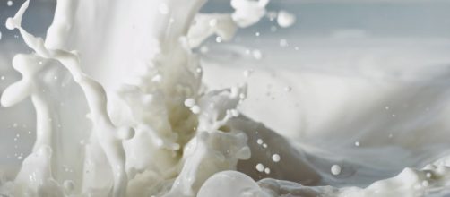 La apuesta por la innovaci&oacute;n ser&aacute; clave para el sector l&aacute;cteo ante ... - blogspot.com