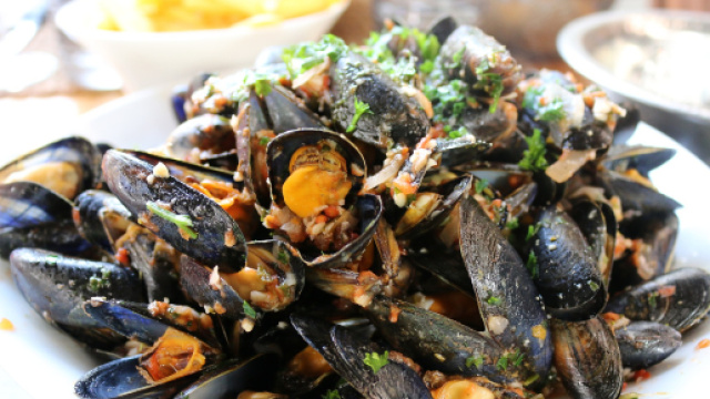 Cozza vive refrigerate, &egrave; allarme Escherichia Coli in Italia e Austria