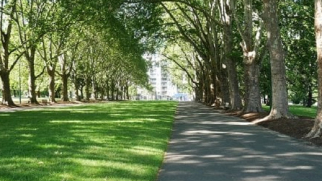 Vivere in quartieri con pi&ugrave; spazi verdi migliora la memoria di lavoro spaziale nei bambini