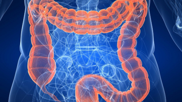 Come pulire l'intestino - YouTube - youtube.com