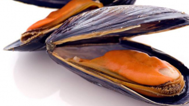 Cozze contaminate: il rischio batterico per i consumatori