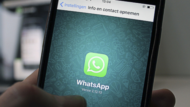 Whatsapp: il successore di Momo &egrave; Olivia.