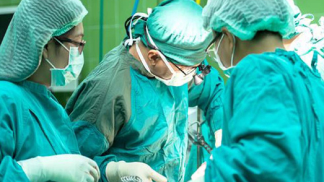 Terenife: tartaruga nella vagina, medici e polizia sospettano una violenza sessuale