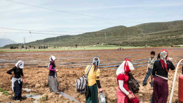 Braccianti agricoli, badanti e muratori rischiano di diminuire e scomparire con lo stop agli immigrati.