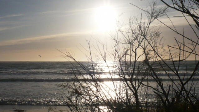 Oroscopo del giorno 29 settembre 2018, classifica stelline completa e previsioni per gli ultimi sei segni.