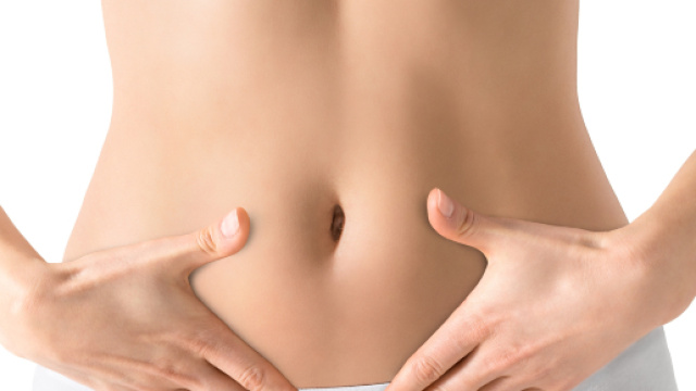 Scoperta una proteina che accelera la riparazione intestinale