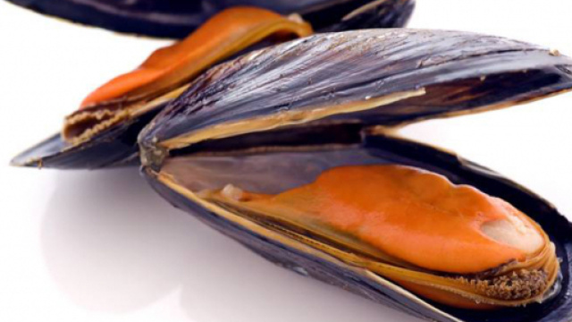 Cozze contaminate provenienti dalla Grecia: l'allerta in Italia delle autorit&agrave;