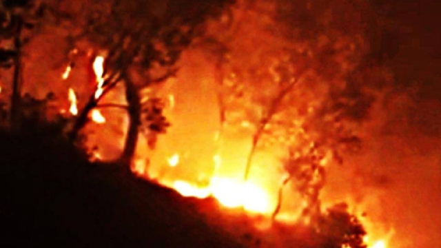 Devastante incendio sul monte Serra (PI) probabilmente di origine dolosa, paesi evacuati.