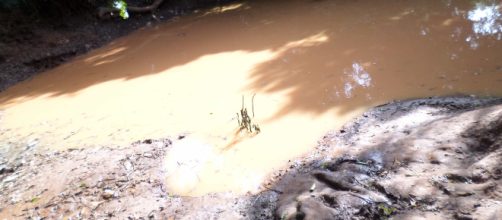 The community and the surrounding area are been suffering from a chronic water crisis. image: Paul Nyojah Dalafu/Sanguli-Saboba/NR