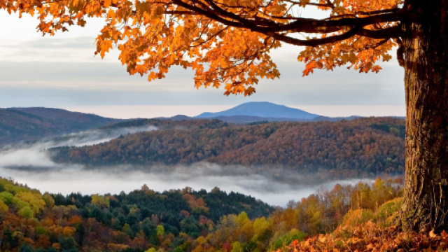 5 Parchi Nazionali dove ammirare il foliage - (foto lonelyplanet.com)