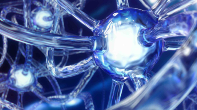 In Italia alcune cellule della pelle sono state trasformete in neuroni