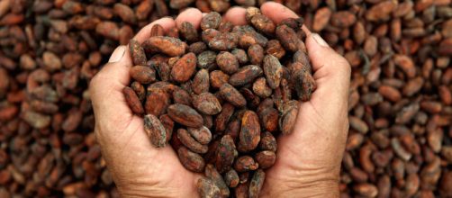Beneficios del cacao para nuestro cuerpo | L&oacute;pez-D&oacute;riga Digital - lopezdoriga.com