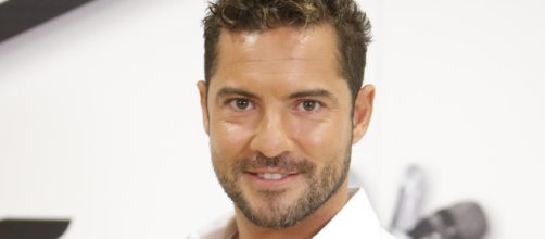 David Bisbal &ndash; LA BURRA RECORDS - laburrarecords.com