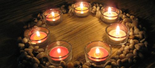 Plantas protectoras en la magia.