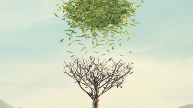 "Auxarian" di Francesco Bellia