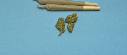 Marijuana [Image Source: Tech Photo Gal - Pixabay]