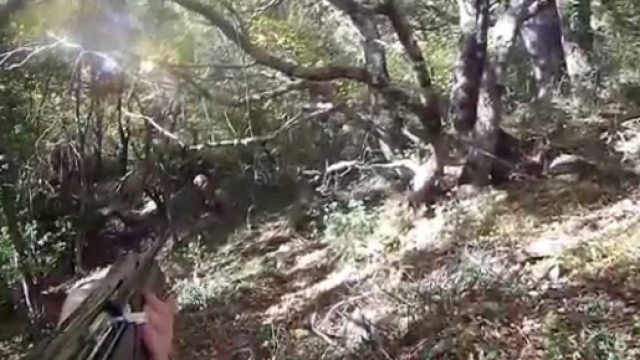 Oggi un 19enne che passeggiava in un bosco &egrave; stato ucciso da un cacciatore che l'ha scambiato per una preda.