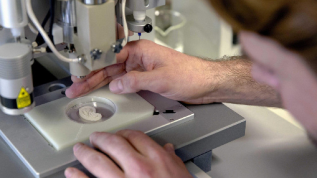 Ricercatori britannici sono riusciti a contare le cellule staminali presenti nel sangue umano