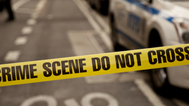 Usa, sorelle di 12 e 14 anni uccidono la madre a coltellate: arrestate