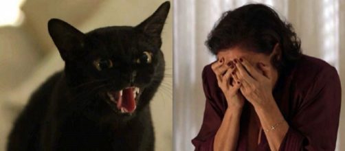 Valentina ficar&aacute; surpresa ao saber que Le&oacute;n ressuscitou em O S&eacute;timo Guardi&atilde;o (Foto: TV Globo)