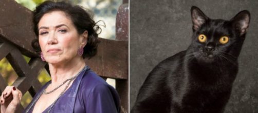 Valentina manda Sampaio matar Le&oacute;n em O S&eacute;timo Guardi&atilde;o (Foto: TV Globo)