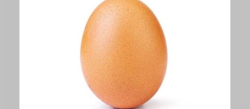 Imagem foi publicada pelo perfil 'Egg Gang'. (Foto Reprodu&ccedil;&atilde;o / Instagram)