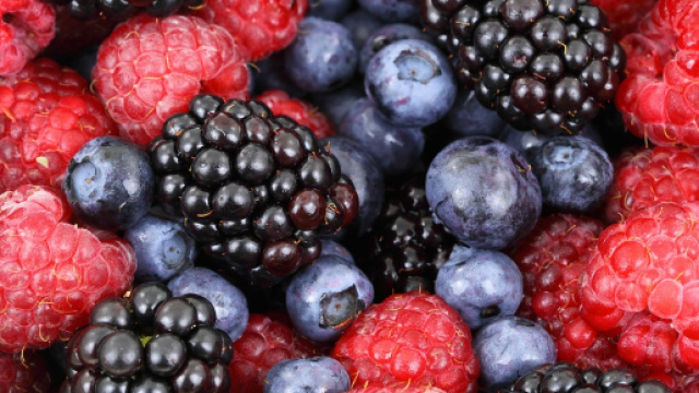 Frutti di bosco, immagine di Pixabay.