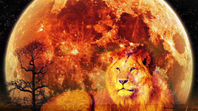 Oroscopo di domani 21 gennaio 2019 | Predizioni zodiacali e classifica: la Luna arriva nel segno del Leone