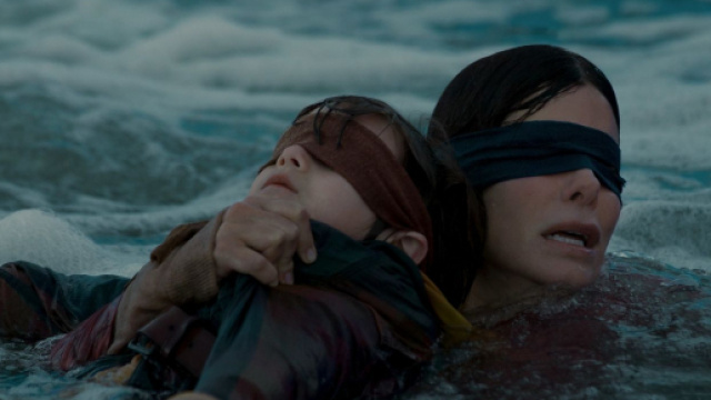 Un accident provoqu&eacute; par le Bird Box challenge