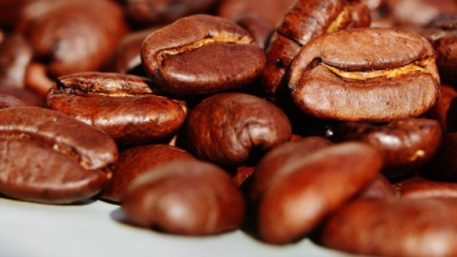 chicchi di caff&egrave; per decorare la torta, immagine di pixabay.